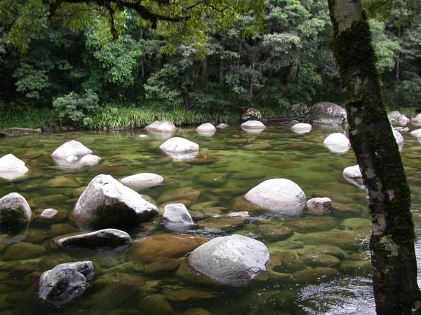 Mossman Gorge